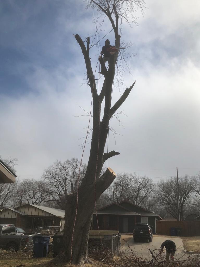 Katys Lawncare Image